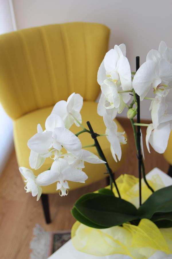 Al Sa Di Te Bed and Breakfast Udine Buitenkant foto
