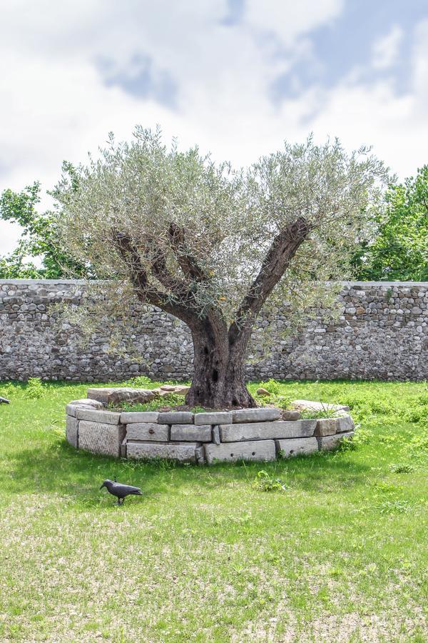 Al Sa Di Te Bed and Breakfast Udine Buitenkant foto